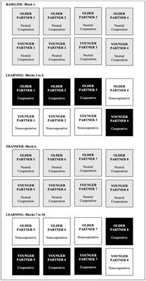 Older and Younger Adults Perform Similarly in an Iterated Trust Game